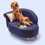 �S�[���f���E���g���o�[