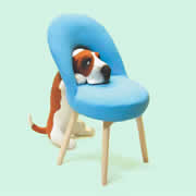 �o�Z�b�g�E�n�E���h