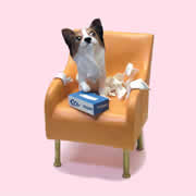 �p�s����