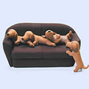 �~�j�`���A�E�_�b�N�X�t���g