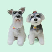 M.�V���i�E�U�[