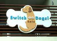 Switch on Dogs! cafe